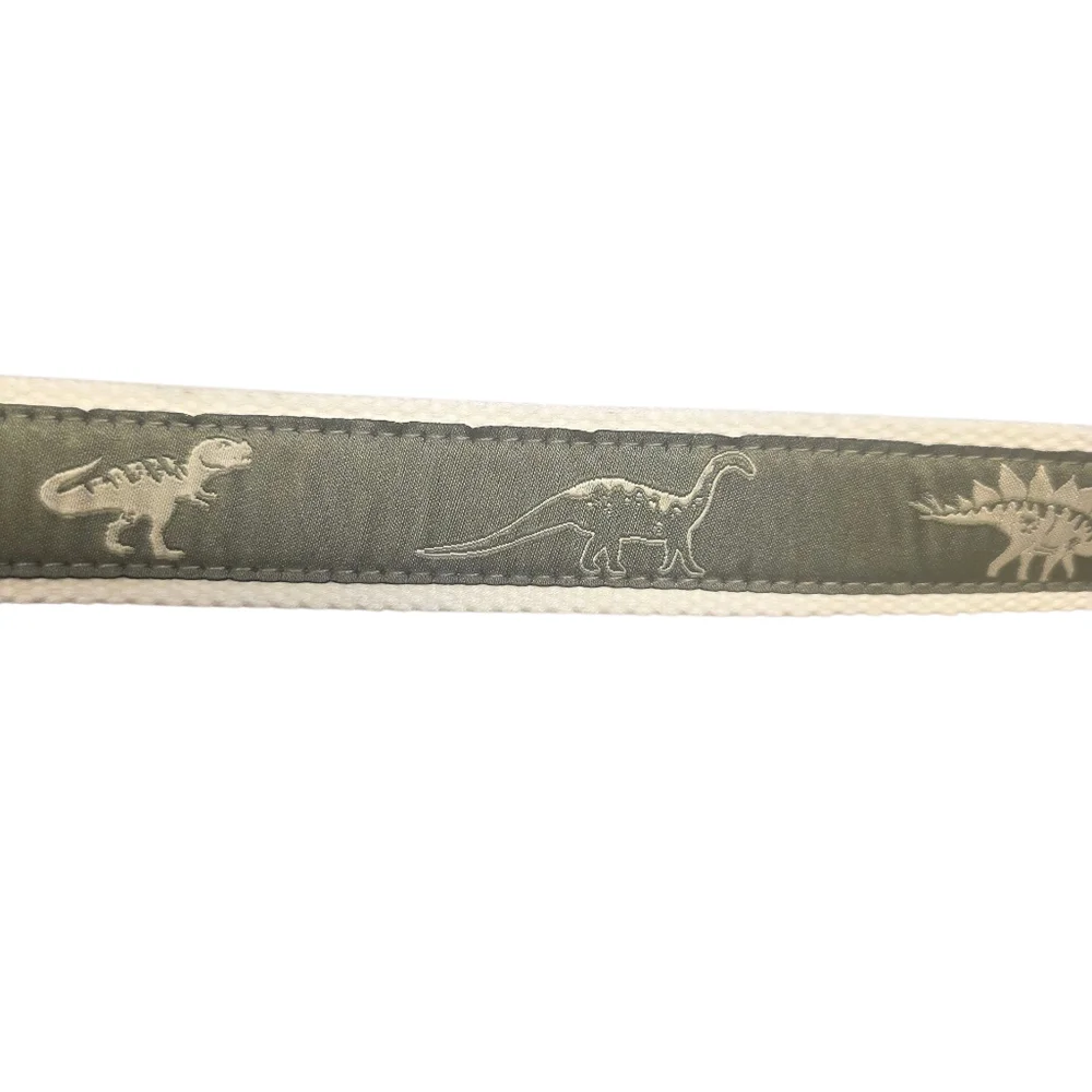Wonder Nation Boy's Size L Green Dinosaur Webbing Belt New